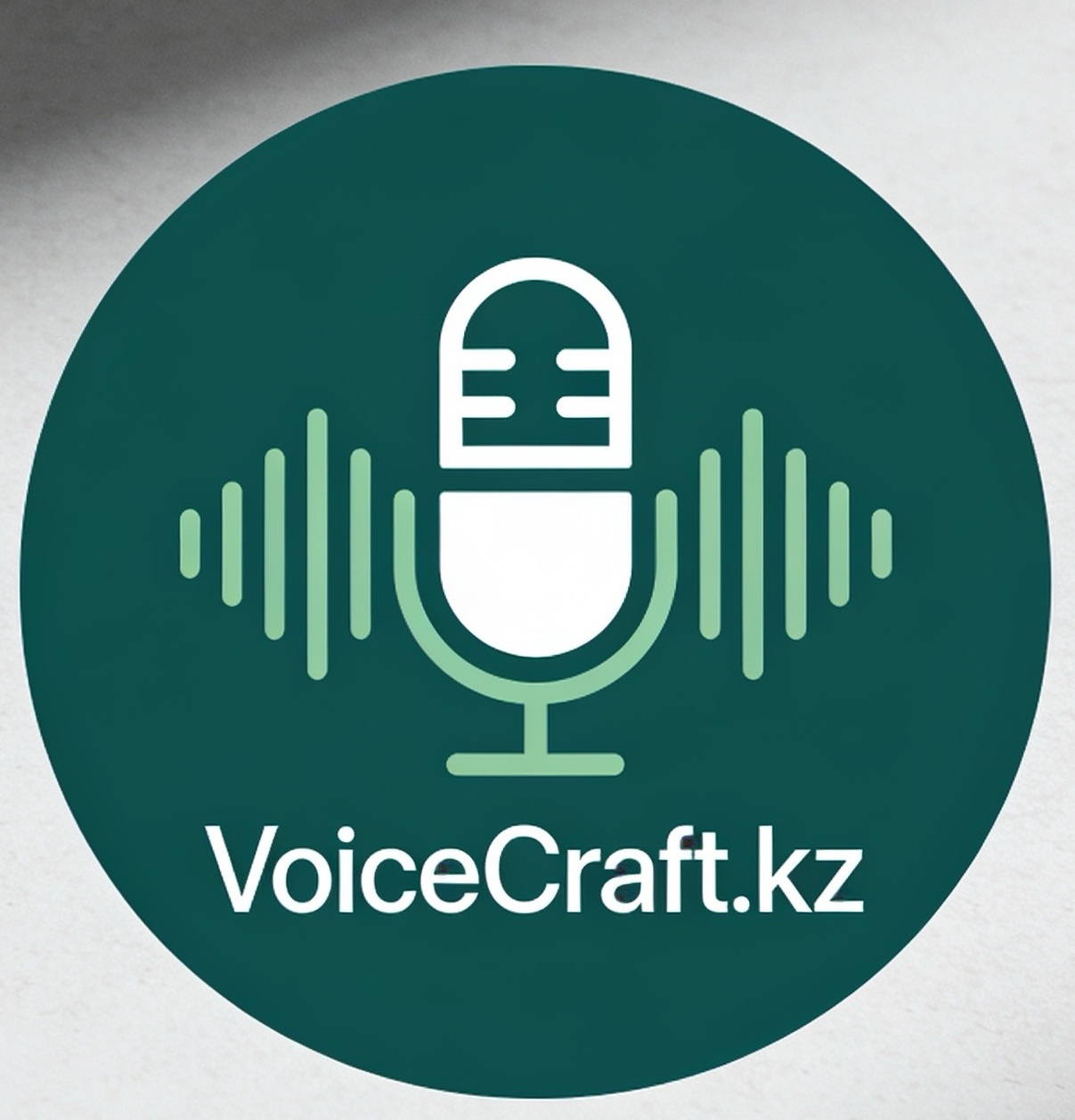 VoiceCraft.kz